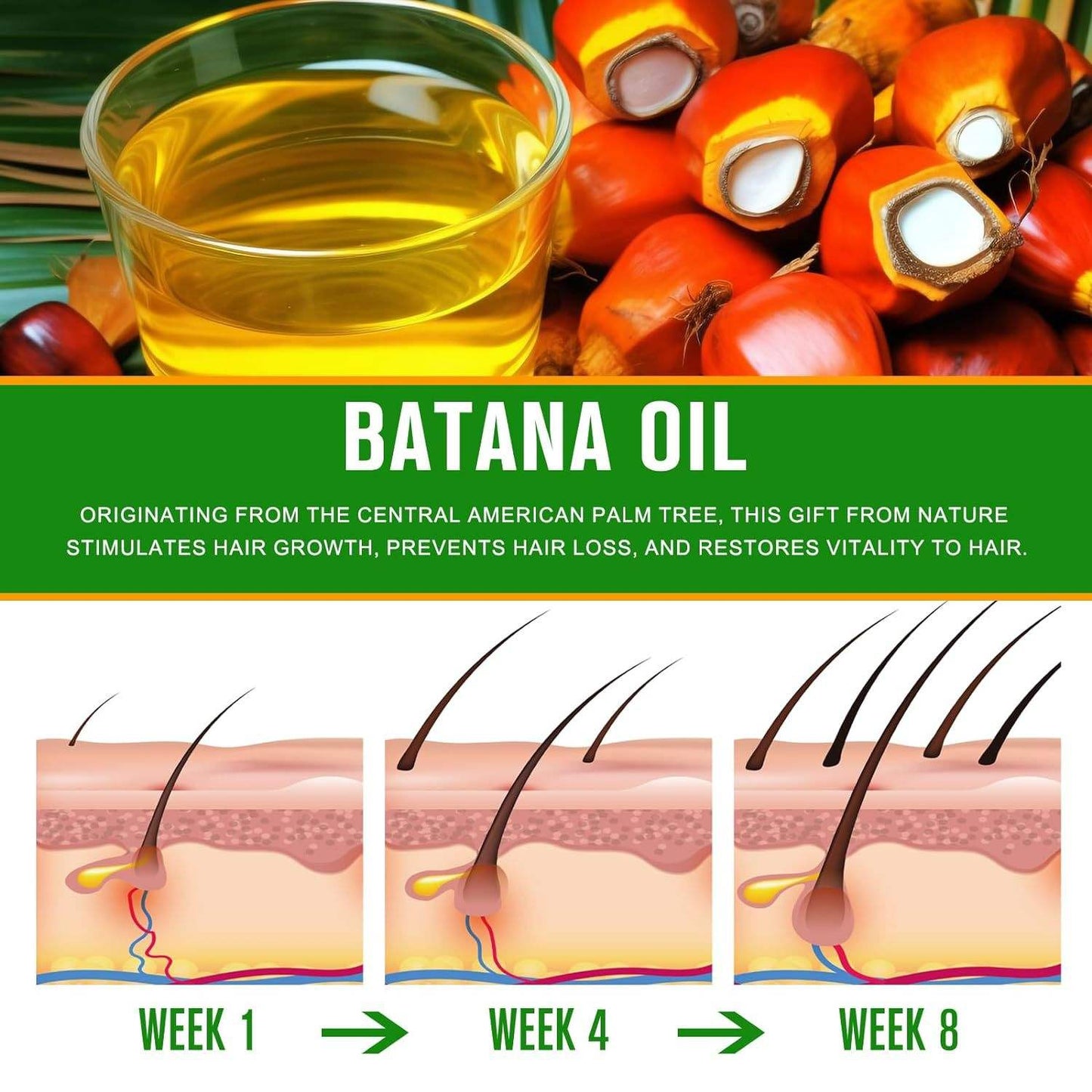 Wholesale Organic Hair Strengthening Growth Oil Cream 100 Percent Unrefined Pure Nourishing Batana Oil for Hair Care